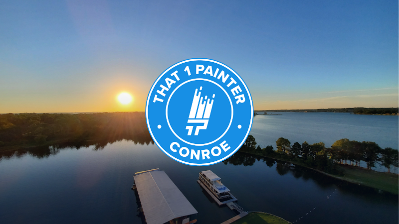 That 1 Painter Conroe