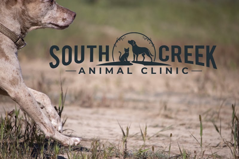 South Creek Animal Clinic