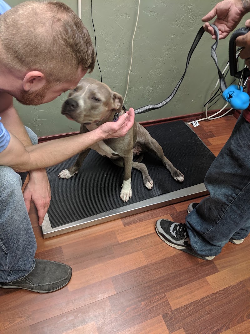 Gosling Road Veterinary Clinic