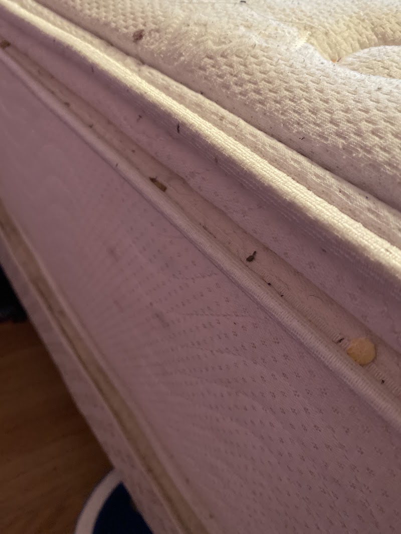 Guardian Mosquito & Pest Control