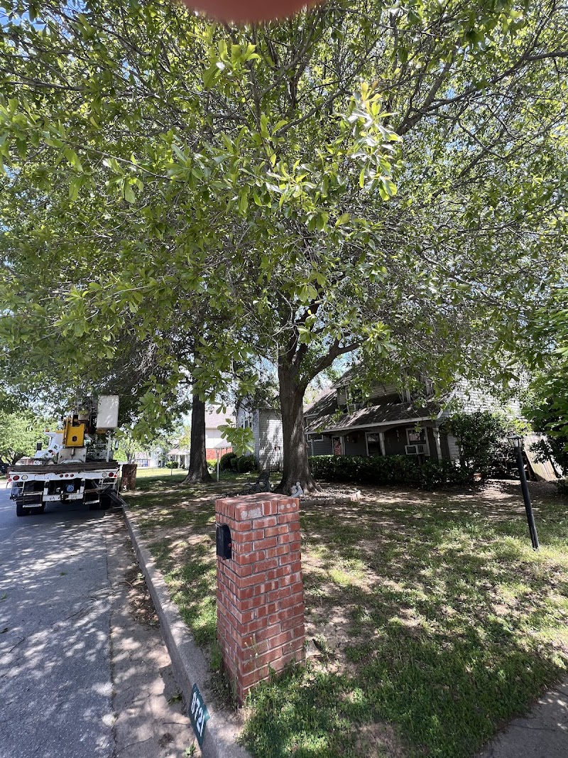 Cehand Tree service and Land Clearing