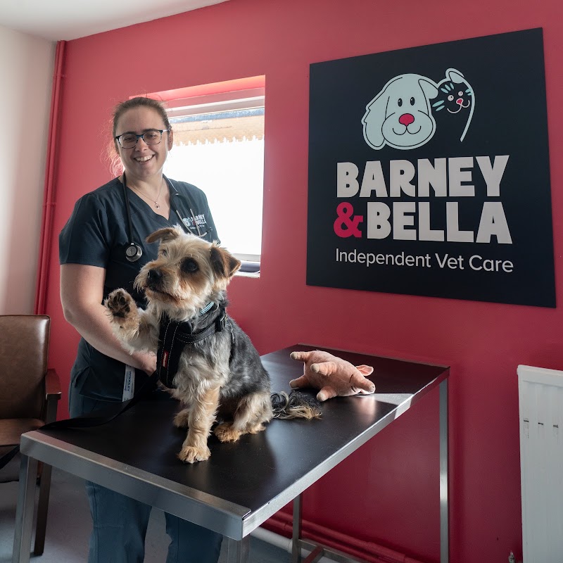 Barney & Bella Independent Vet Care