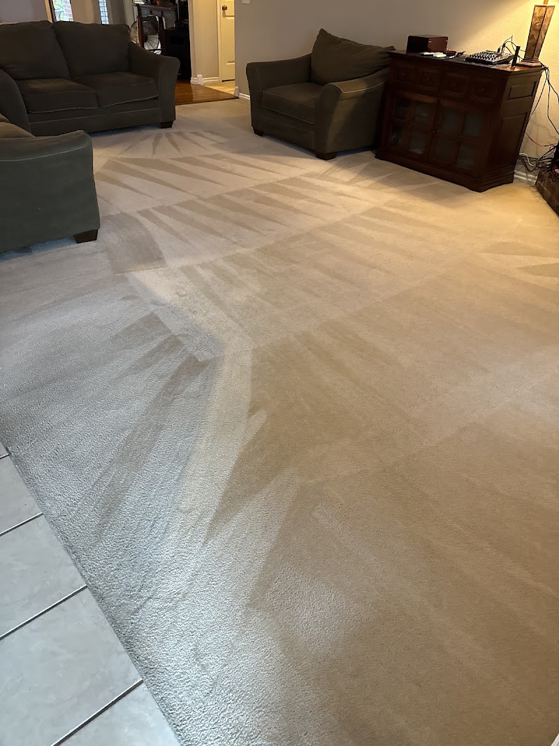 Dynamic Carpet Care
