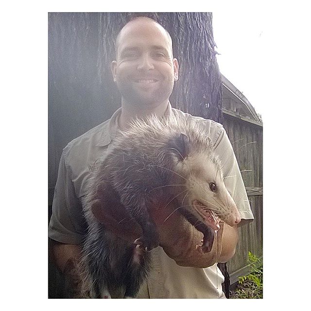Wildernex LLC Wildlife Control
