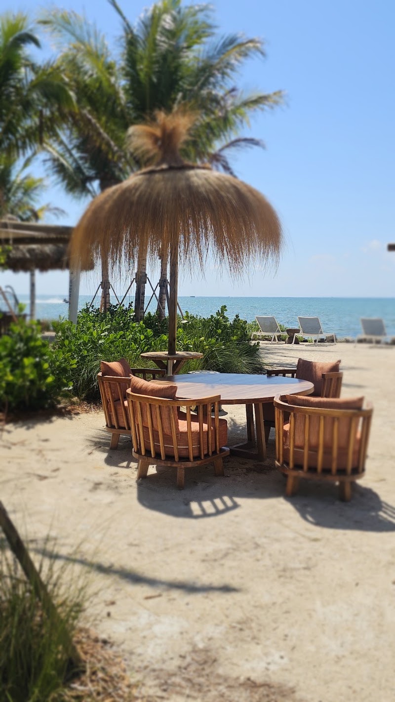 Islander Bar and Grill