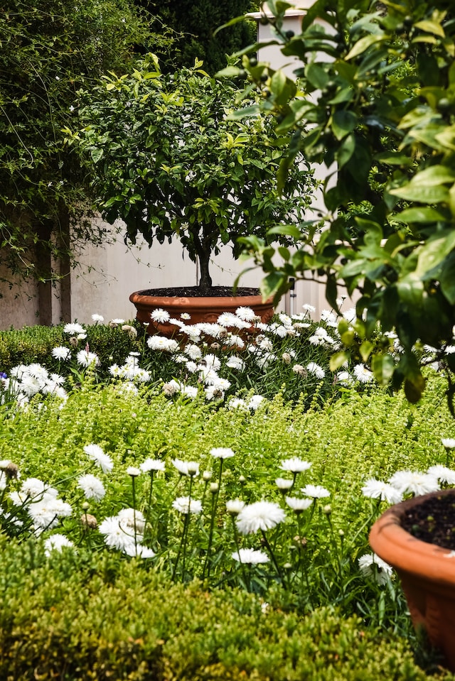 Proactive Landscaping