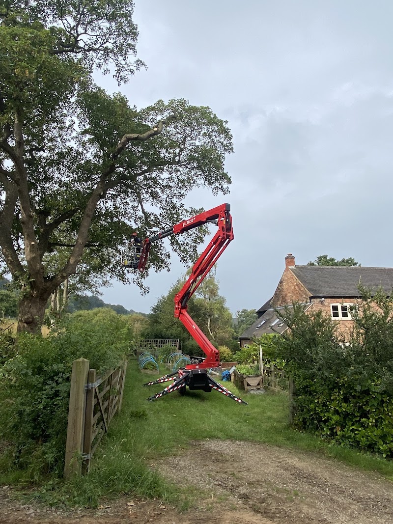 Tom Richards Tree Services
