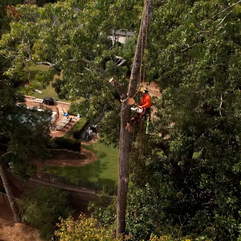 Timberstone Tree Service