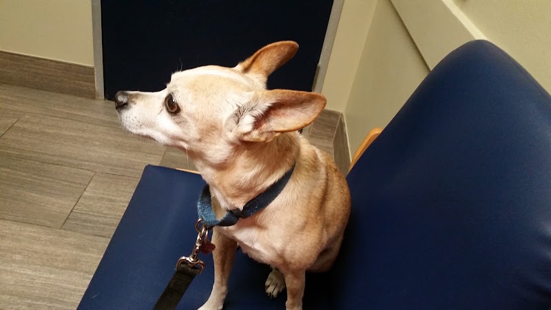 Atascazoo Animal Hospital