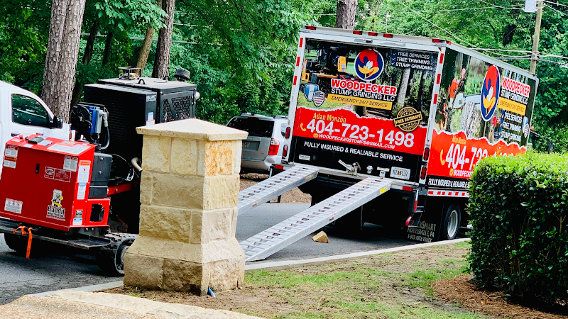 Woodpecker stump grinding and tree service