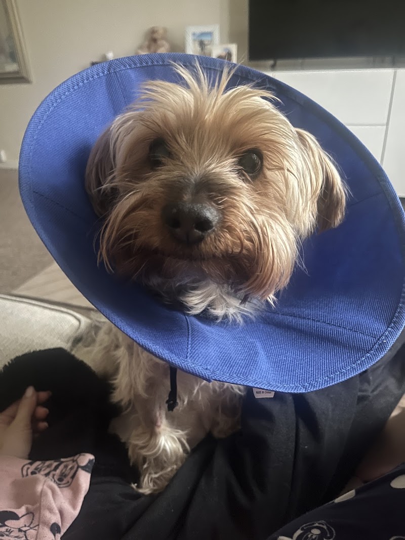 Medivet 24 Hour Thurmaston