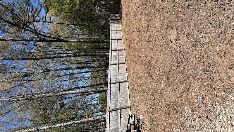 ASAP Stump Grinding Tree Service