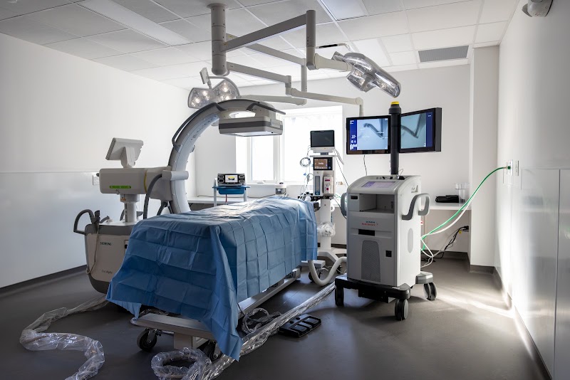 Hospital for Veterinary Surgery - Connecticut