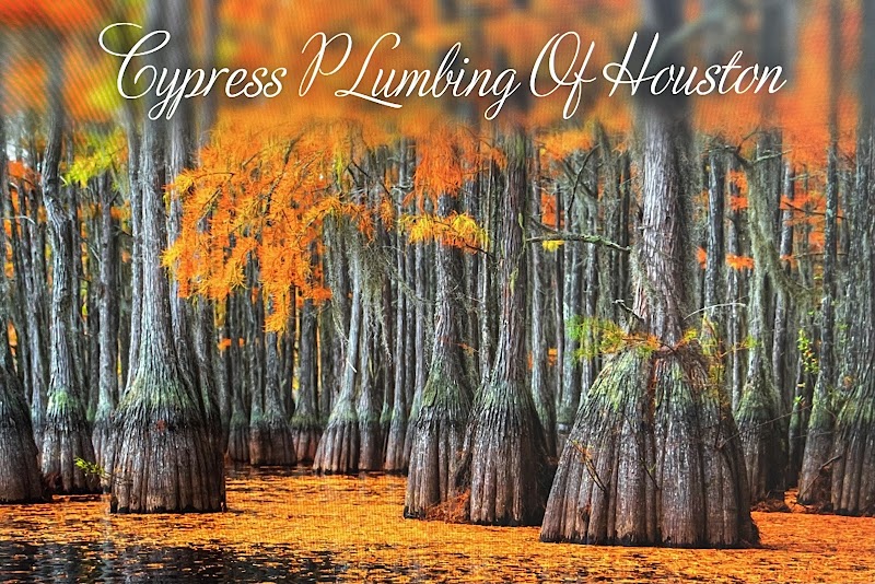 Cypress Plumbing Service