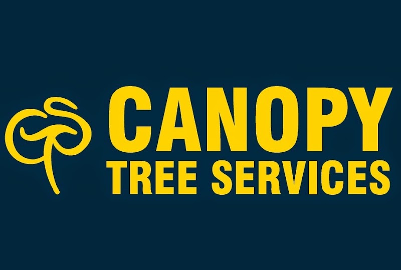 Canopy Tree Services