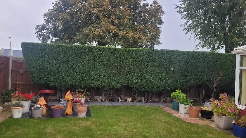 Sandiacre Tree & Garden Services