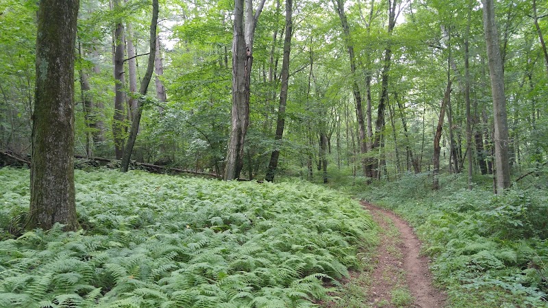 Guard Hill Preserve