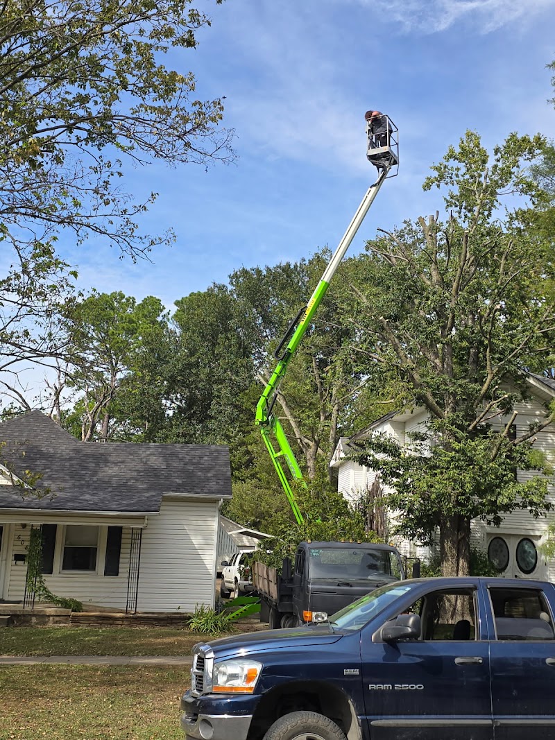 Busy Boy Tree Services