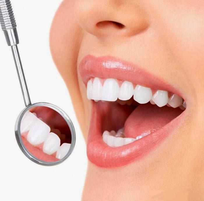 Dr Todd J. Amus DDS