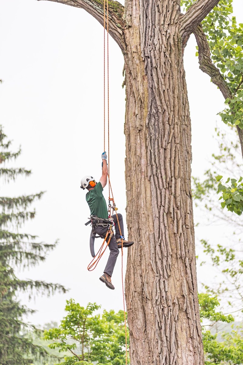 The Davey Tree Expert Company