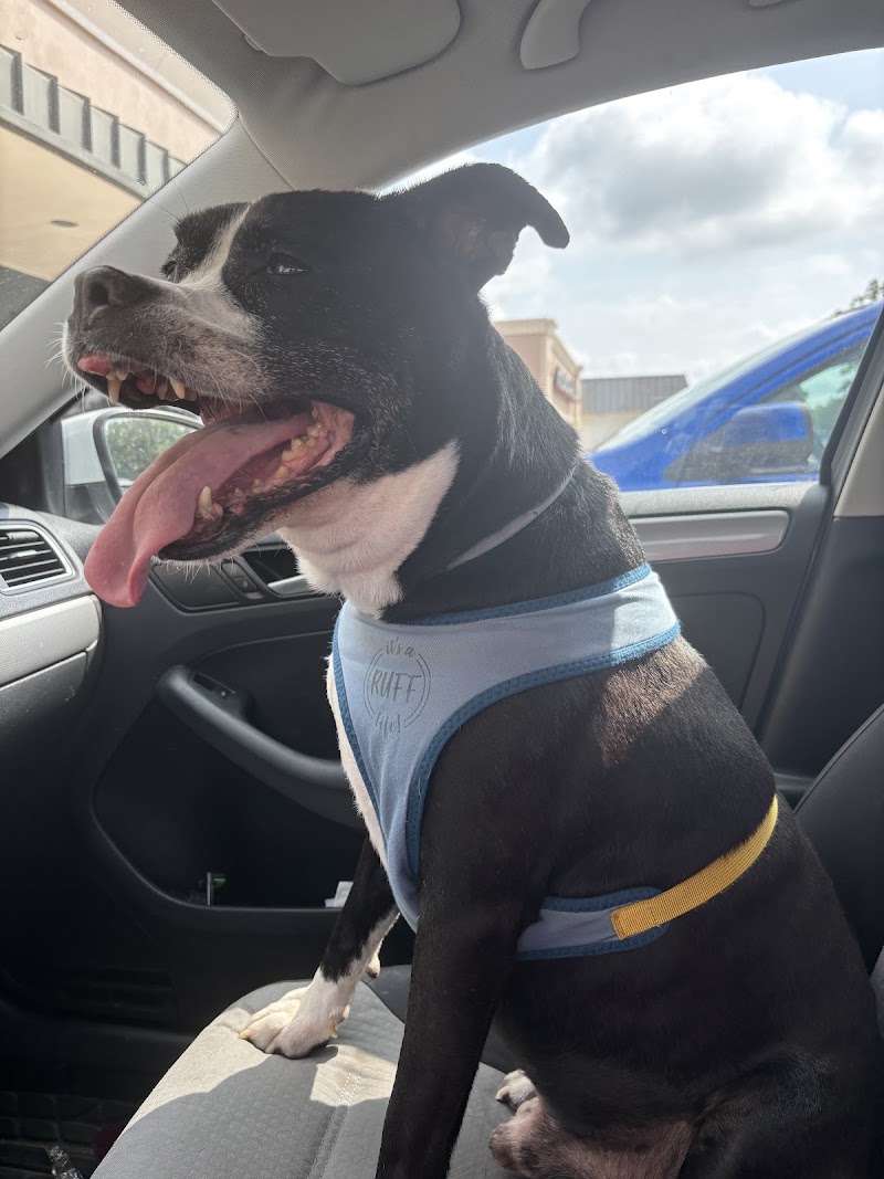 HUB Veterinary Group - Conroe