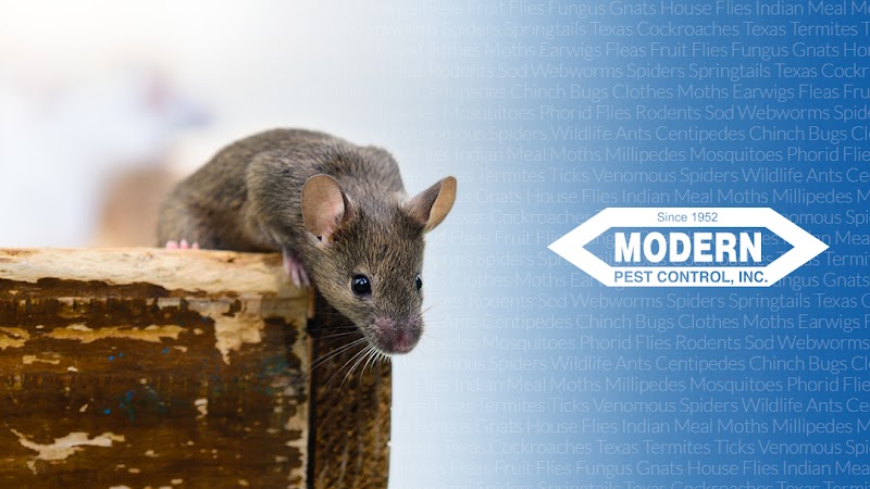 Modern Pest Control
