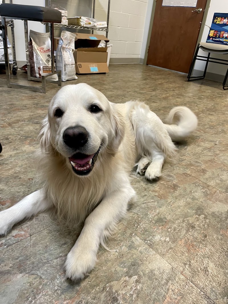 Stone Ridge Veterinary Medical Center