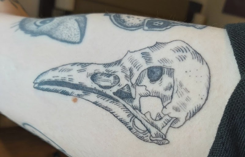 Matthew Castle Tattoo
