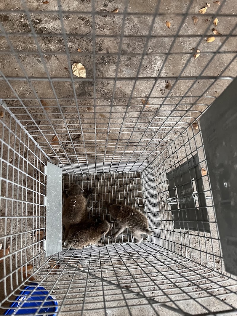 Workman's Pest Control