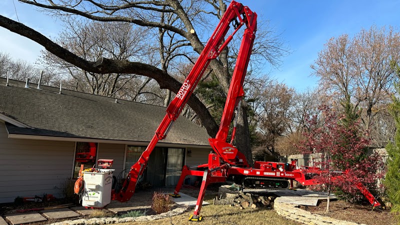 Henderson Tree and Landscape, LLC