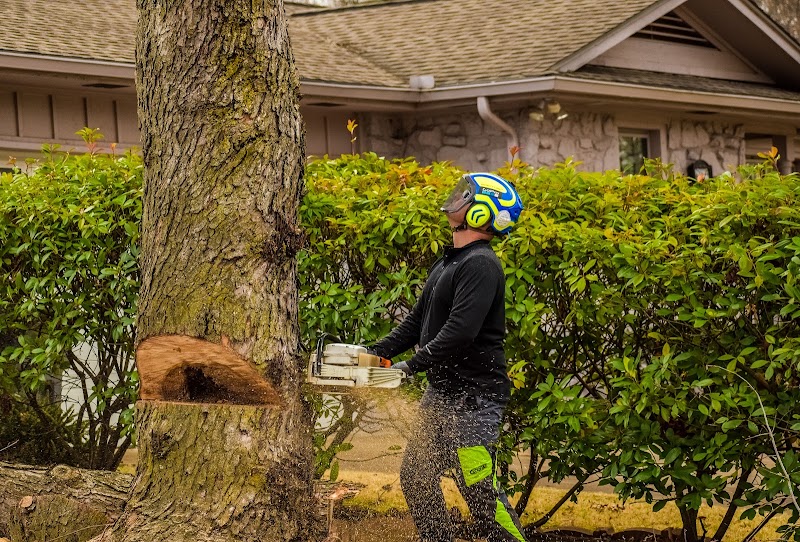 Fuller Tree Care, LLC