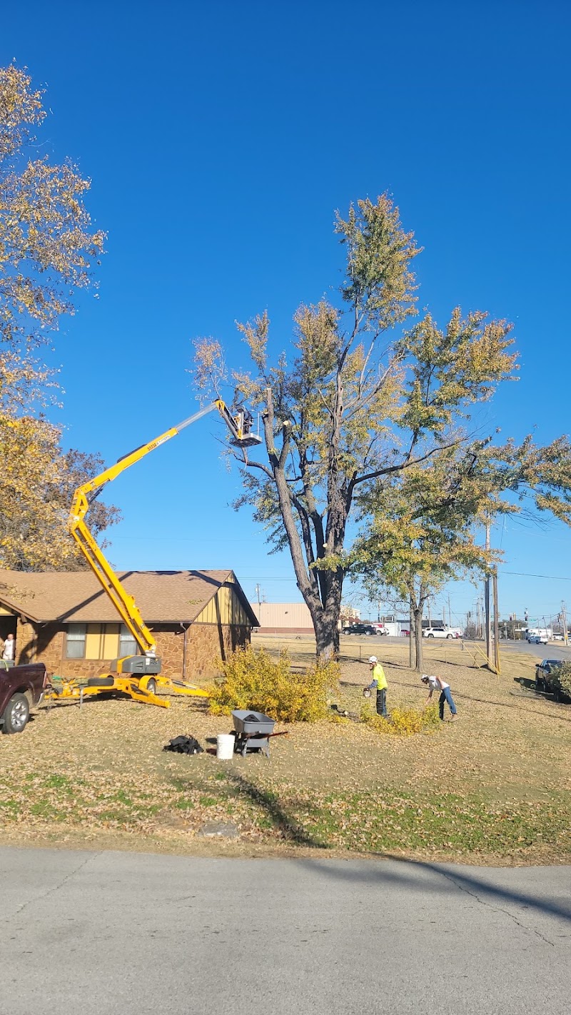 B&C Tree Services