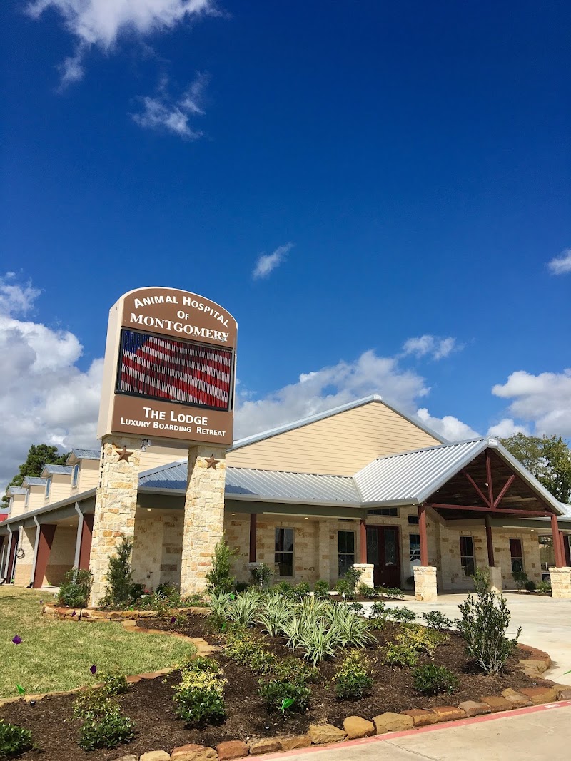 The Lodge Luxury Boarding Retreat