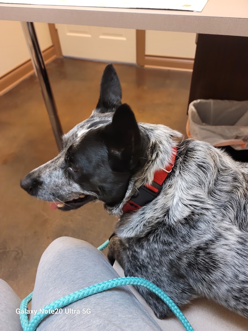 Animal Care Center-Lake Houston