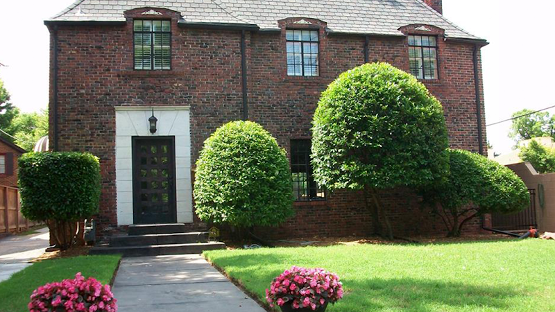 C & C Bush and Tree Trimming