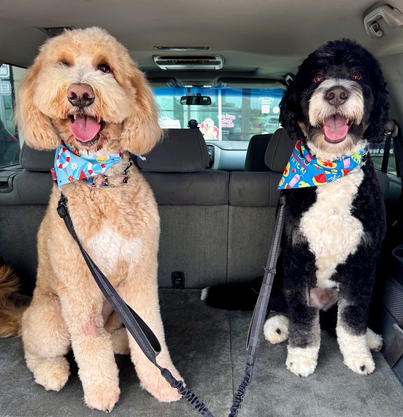Woof Gang Bakery & Grooming Magnolia Village