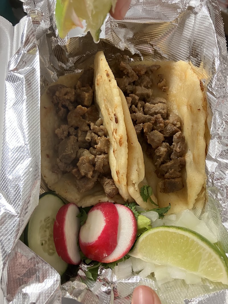 Sabores 504
