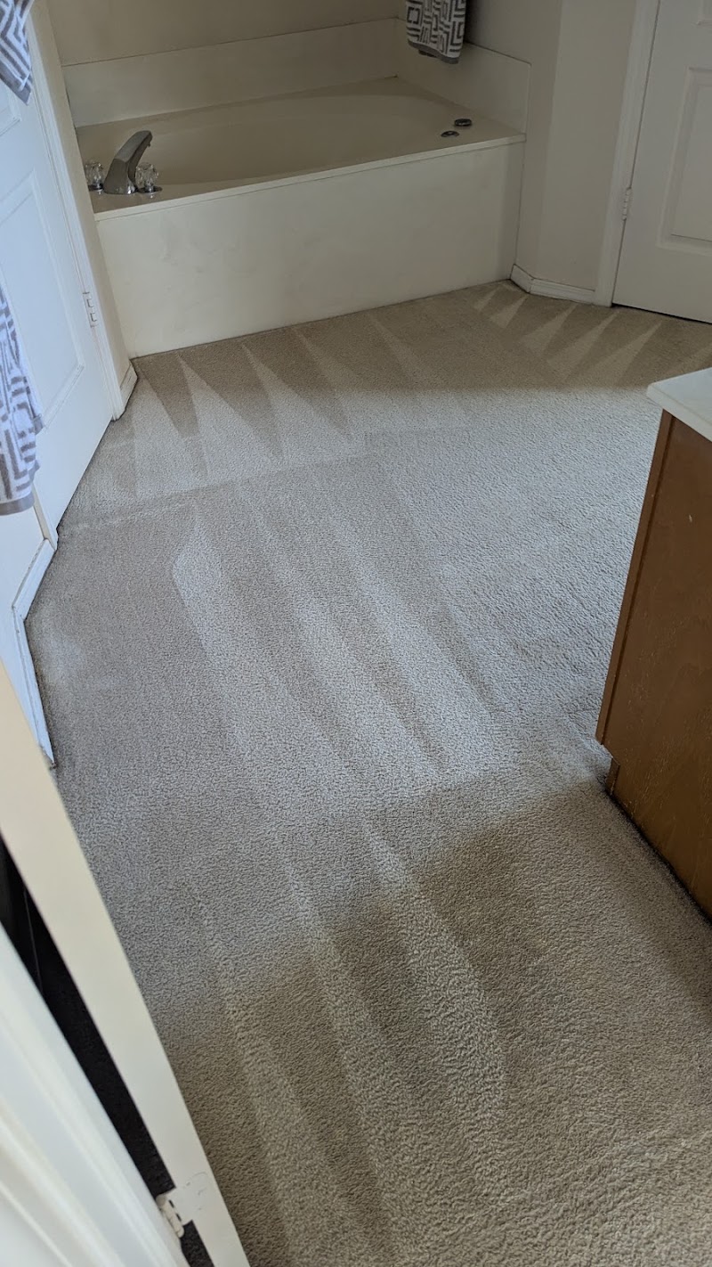 Blue Dog Carpet Cleaning
