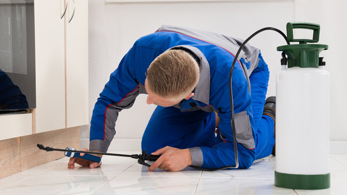 Stull Pest Control