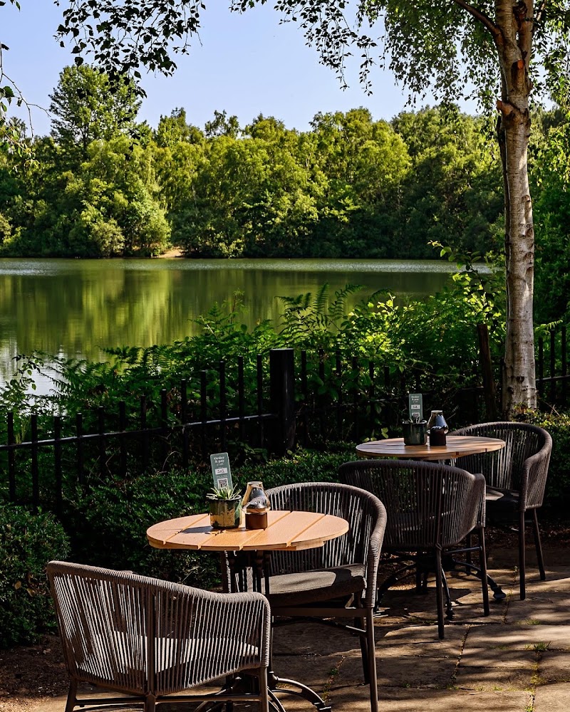 The Swan Holme
