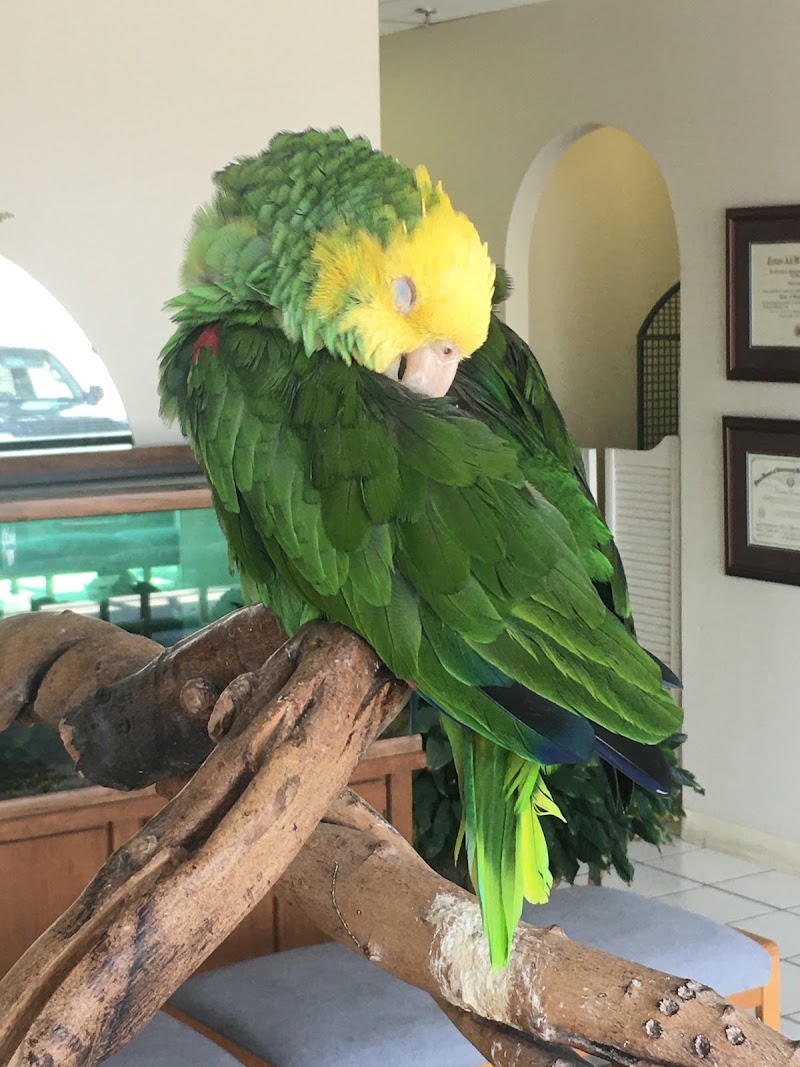 Pets Paw Animal Hospital