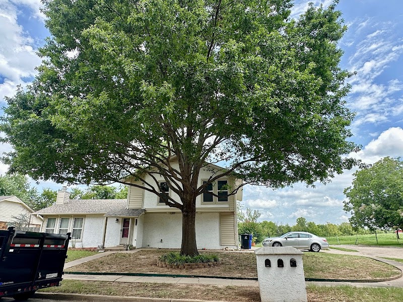 YouTree Service LLC