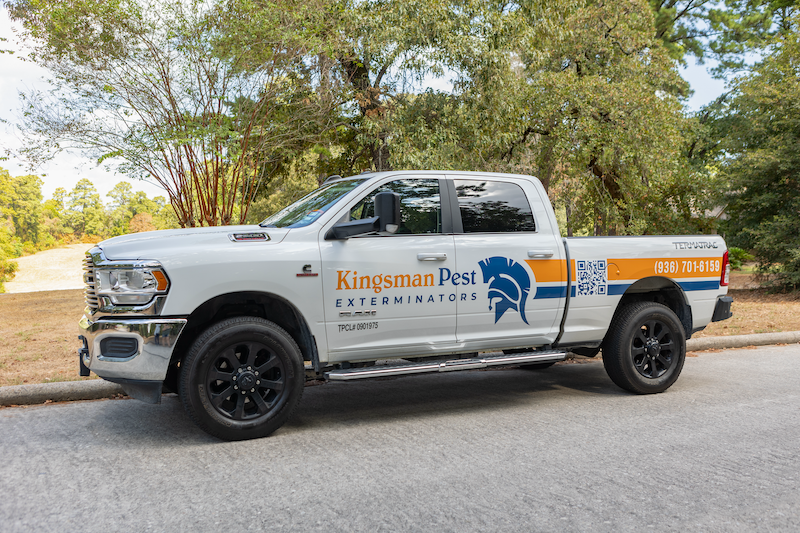 Kingsman Pest Exterminators