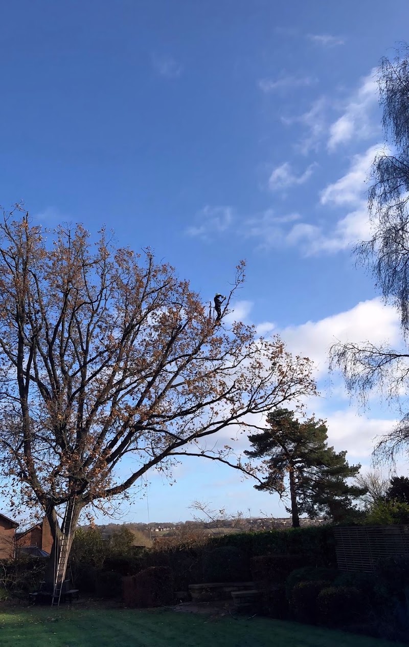Rogers & Co Tree Services Ltd