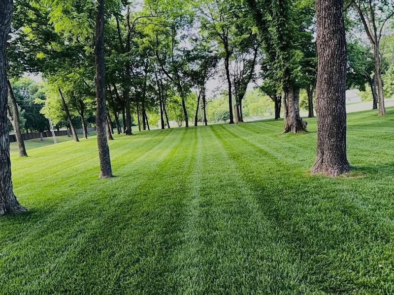 Paschall's Lawn & Landscape
