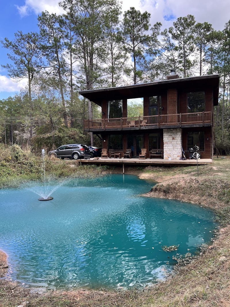 Waterfront Treehouse in a Magical Forest!