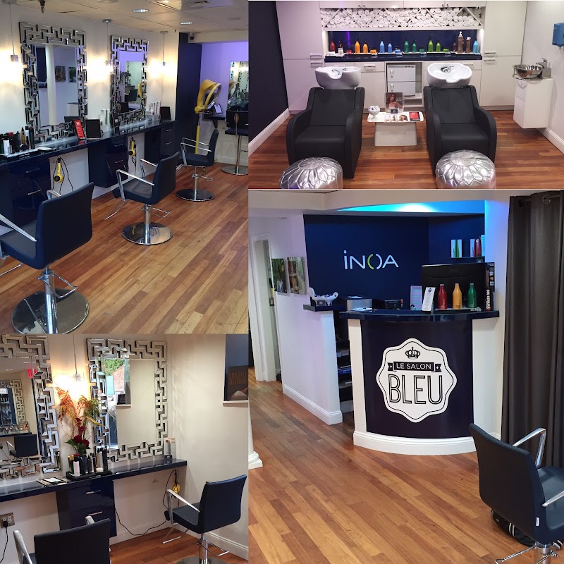 Salon Bleu