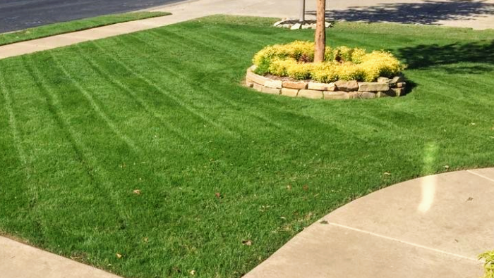 Living Water Outdoor Services | Artificial Turf Tulsa and Private Putting Greens