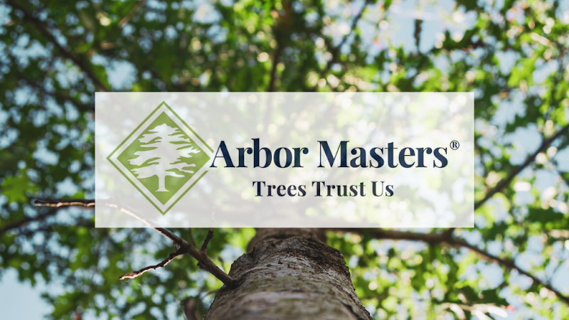 Arbor Masters of Tulsa