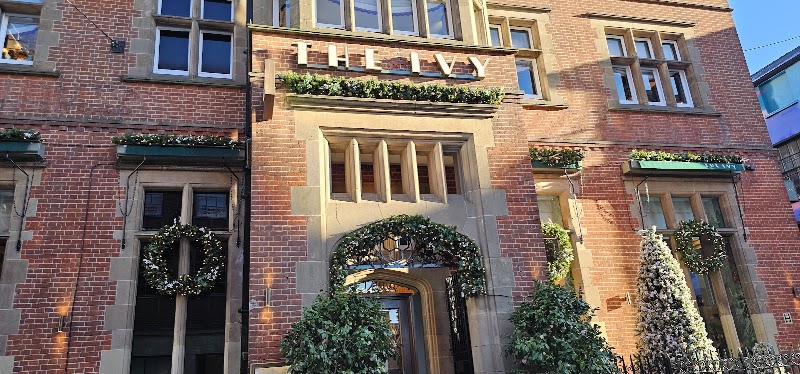 The Ivy